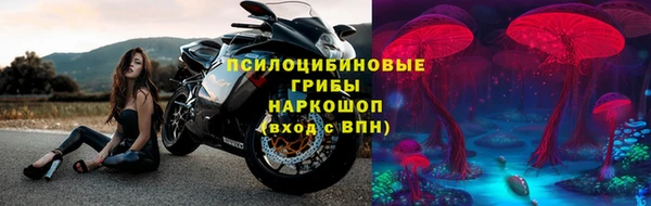 дмт Арсеньев