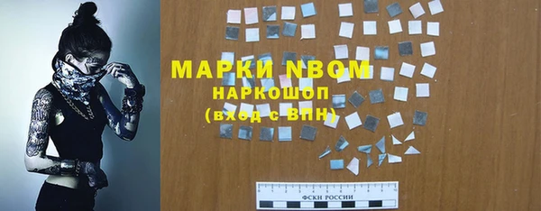 дмт Арсеньев