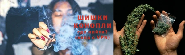 дмт Арсеньев