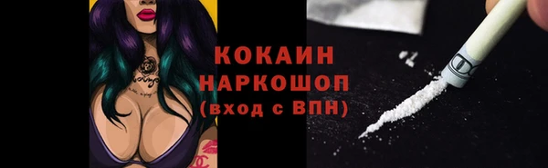индика Армянск