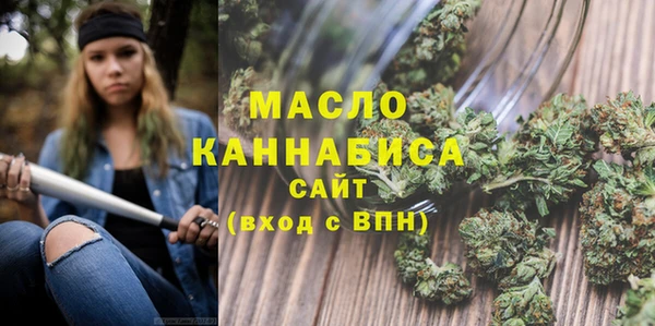 индика Армянск