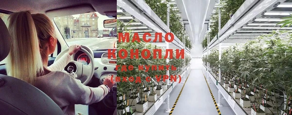 индика Армянск