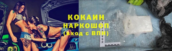 индика Армянск