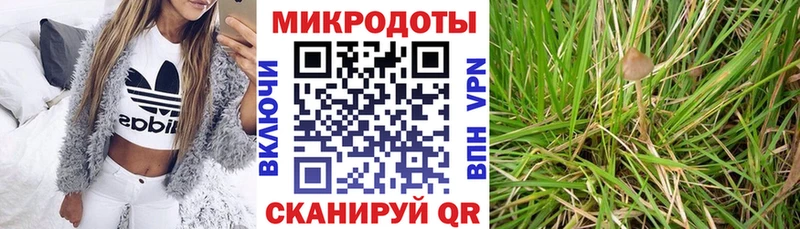 что такое   Дыгулыбгей  Псилоцибиновые грибы прущие грибы 